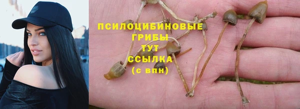 дживик Мегион