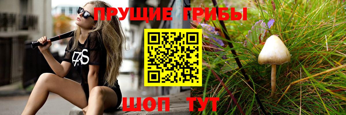 Псилоцибиновые грибы ЛСД  Псилоцибиновые грибы Psilocybe  Южно-Сахалинск  Вход с VPN 